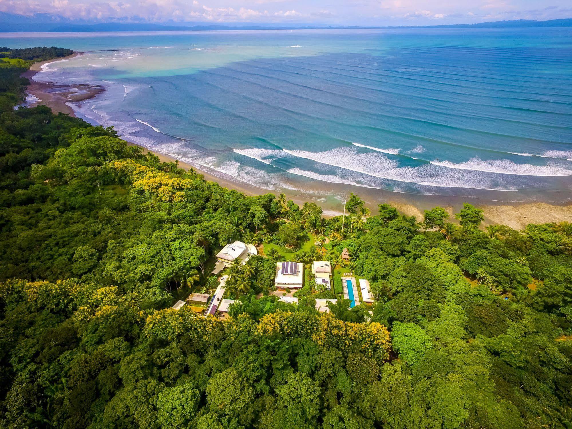 Blue Osa Beach Resort & Spa Puerto Jimenez Exterior photo